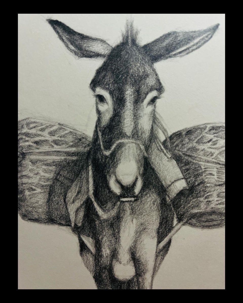 A donkey with baskets 
Pencil drawing on paper
39x27cm 

묵묵히 
궤적은 앞에 남지 않으므로 

#pencildraw #onpaper #drawing #sketch