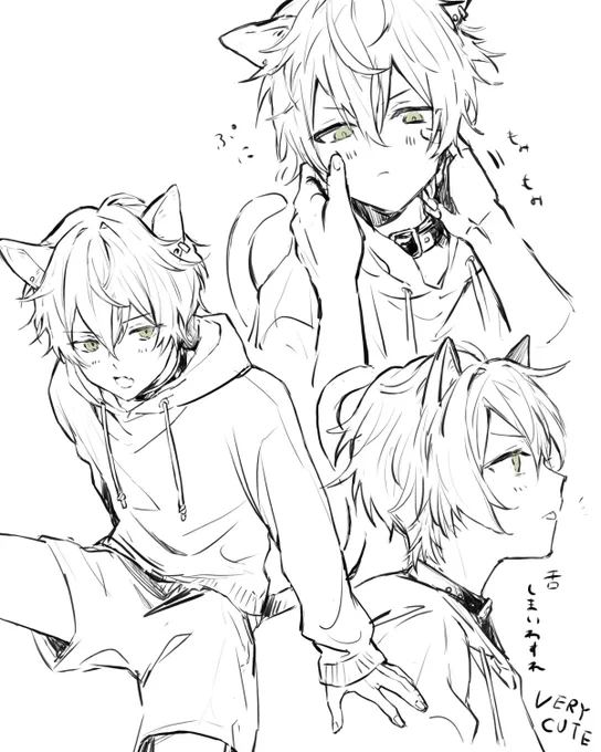 🐈 