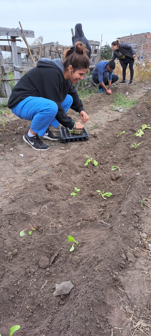 Val_Fabian's tweet photo. El equipo de #HuertasDeLaCiudad de @MunicipioBahia y alumnos de @ucalp trabajaron en huerta de #APuroCorazon❤️.

Fortaleciendo el vinculo con instituciones privadas y vecinos q se acercaron al espacio.
#Cerca🙌

#Trasplante #Riego💧#Motocultivador #BajoRondeau

@Centenojulietam https://t.co/UDmb6oWeCZ