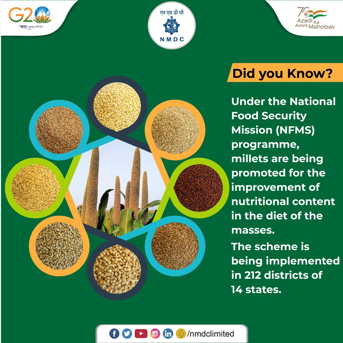 The key aim of this mission is to position millets as Nutri Cereals with their benefits being popularized amongst the masses. NFMS, through sustained and effective campaigns, is now taking up research to develop high-yielding varieties.

#NMDC #NFMS #Milletfacts #IYOM