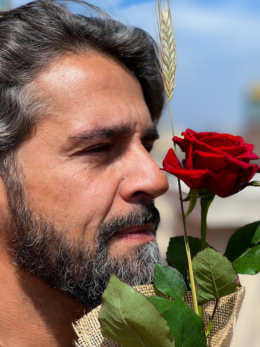 Sant Jordi’s day 🌹 #SantJordi #rose #SanJordi2023