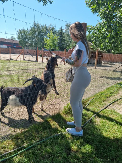 Zapraszam na nowy odcinek GOATS! https://t.co/Ssi6Th4uyl @boxdel_ @sawardega @izaklive @iamwojtekgola<a class="tags" target="_blank" title="On Twitter" href="/?out=eyJ0eXAiOiJKV1QiLCJhbGciOiJIUzUxMiJ9.eyJpYXQiOjE3MjA2MDM4MDQsImlzcyI6InR3cG9ybnN0YXJzLmNvbSIsIm5iZiI6MTcyMDYwMzgwNCwiZXhwIjoxNzUyMTM5ODA0LCJyZWRpcmVjdF91cmwiOiJodHRwczovL3R3aXR0ZXIuY29tL2JveGRlbF8ifQ.ajZEKS2ytOb40mJiKMhHzPj4yoI66LRGerK7iJvfD3kUG3cSQIcrahkVKzjjkKjR24yyPYLRtpNI3itOvcZgAg">@boxdel_</a><a href="/tag/portugal"class="tags"><span>#portugal</span></a><a href="/tag/qatar2022"class="tags"><span>#qatar2022</span></a><a href="/tag/porgha"class="tags"><span>#porgha</span></a><a href="/tag/qatarworldcup20"class="tags"><span>#qatarworldcup20</span></a>