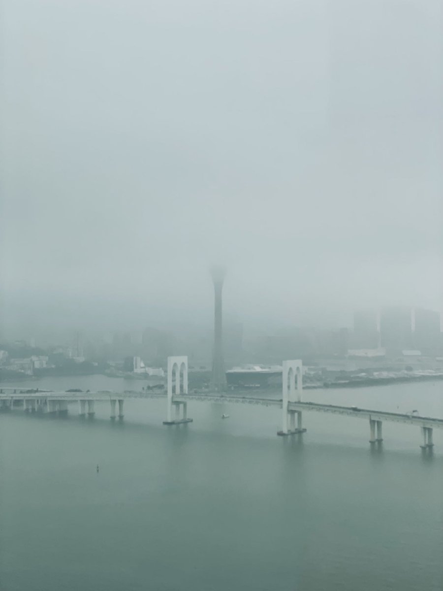 KsWang10's tweet photo. Fog https://t.co/AvNgBZbjSr