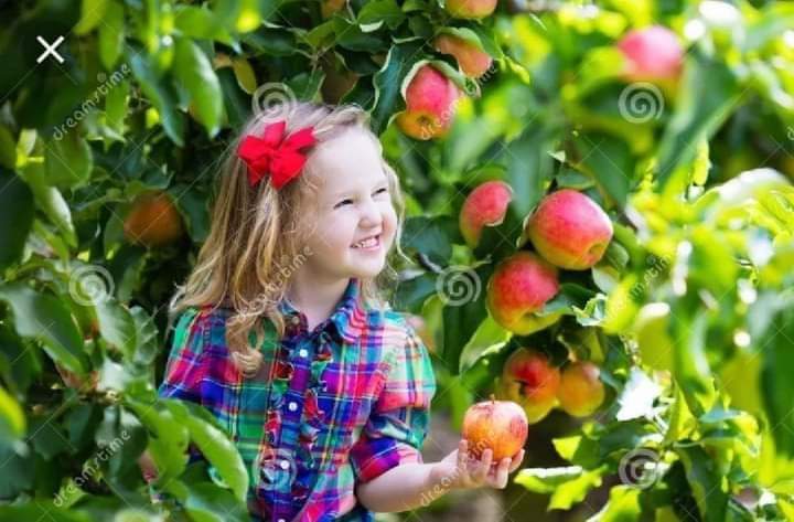 المتابعين الكرام

الرجاء مساعدتي في إعادة توجيه هذه الرسالة حتى تكون مرئية و تصل إلى أوسع نطاق .. 

قريباً سيكون موسم الفواكه مثل الخوخ ، البامية ، القرع ، البطيخ ، الكرز ، المشمش ، المانجو ، البرتقال ، االأفوكادو ، العنب ، إلخ ..