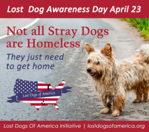 DID YOU KNOW ❓

On April 23 of every year, we recognize National Lost Dog Awareness Day (NLDAD). Today, we're raising awareness for lost dogs, participating in the conversation about the importance of microchipping your animals, and celebrating reunions 🐾 

#LostDogsofAmerica