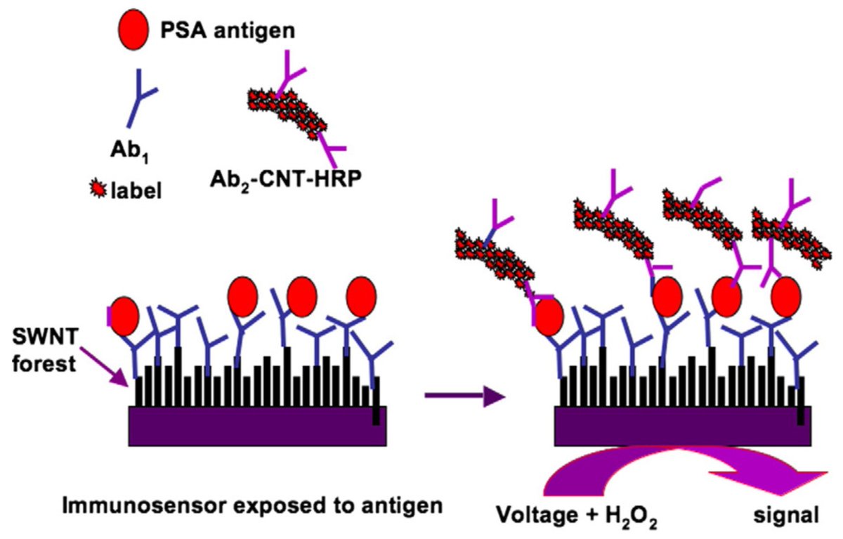 Molecules_MDPI's tweet photo. 📌#gynecologiccancers #carbonnanomaterials #diagnosis #therapy #clinicalapplication
#New #Publication “The Application of Carbon Nanomaterials in Sensing, Imaging, Drug Delivery and Therapy for Gynecologic Cancers: An Overview”
By: Jun Hu, et al.
👉https://t.co/41NmOssLyf https://t.co/VEGI2g5JRn
