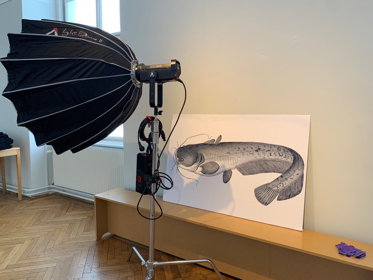faerber_alexa's tweet photo. Realfiktion = Teamwork, heute in Vorbereitung auf die Versammlung morgen @Volkskundemuse #MakingClimatePublic #Klimarechnungshof #Klimakrise https://t.co/hyRBnb2axv