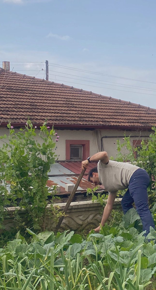 Btlatmc61's tweet photo. Ocağımıza incir ağacı dikti 🙄@musacevik_ https://t.co/DFS8BqlXu2