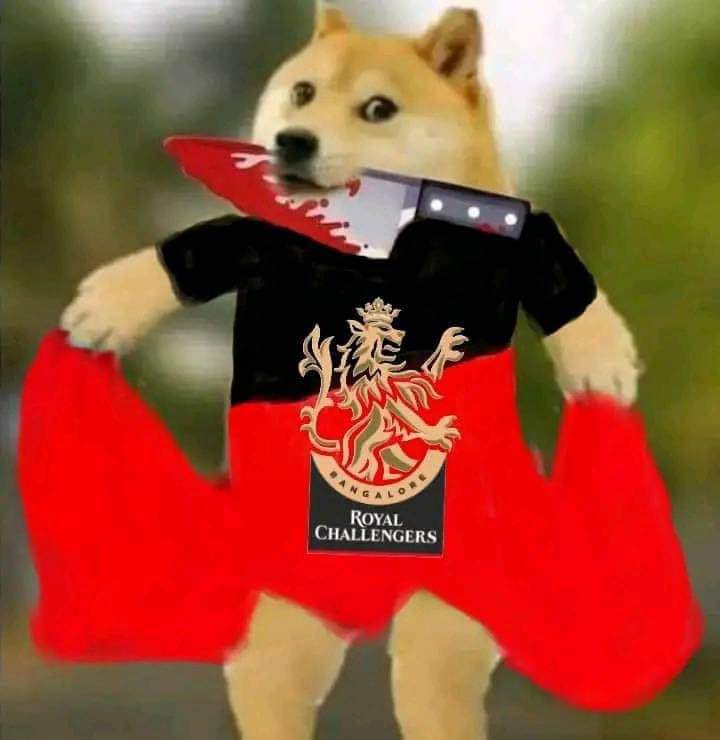 DeshikPatel's tweet photo. Mood rn :

#RCBvRR #rcb #RoyalChallengersBangalore 
#ViratKohli #siraj @RCBTweets https://t.co/zp2u1Kjqsx