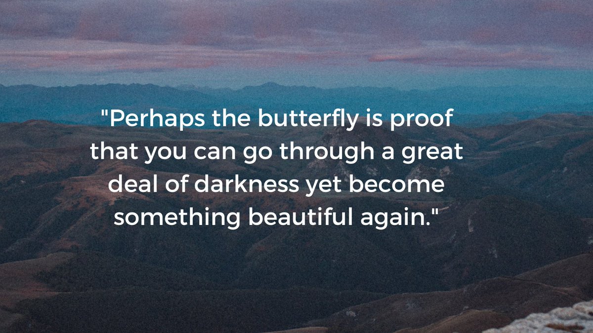 EnuelW's tweet photo. "Perhaps the butterfly is proof that you can go through a great deal of darkness yet become something beautiful again."

#amwriting #writingcommunity #amwritingfiction #aspiringauthor #readcrimefiction #write #thriller #mystery #whodunnit #writerslife #WIP #blogger #readingaddict https://t.co/cY27m3AnnZ