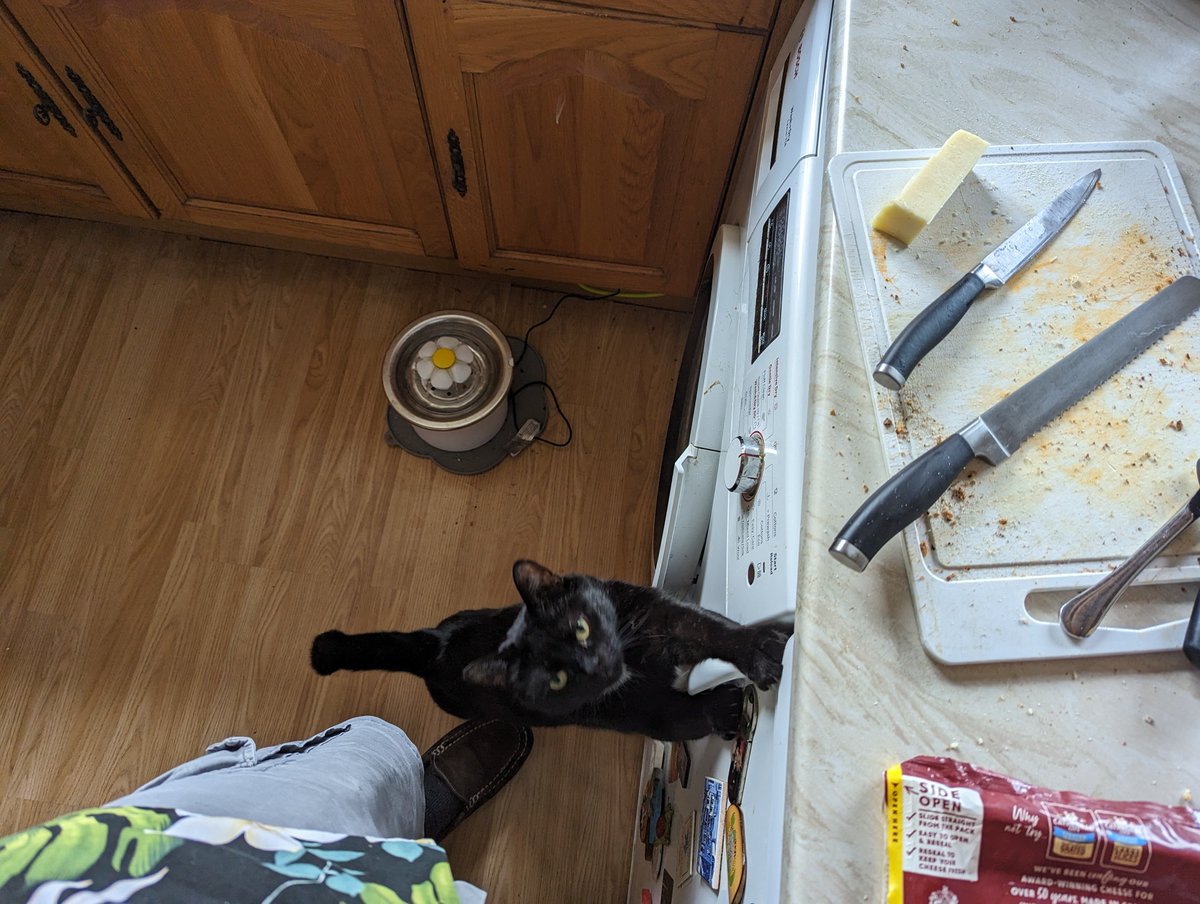 garius's tweet photo. So the emergency alert woke up Napoleon, who came down to find me making a cheese sandwich.

I think he now believes we have a national cheese alert system. https://t.co/VRQ8r6tGpB