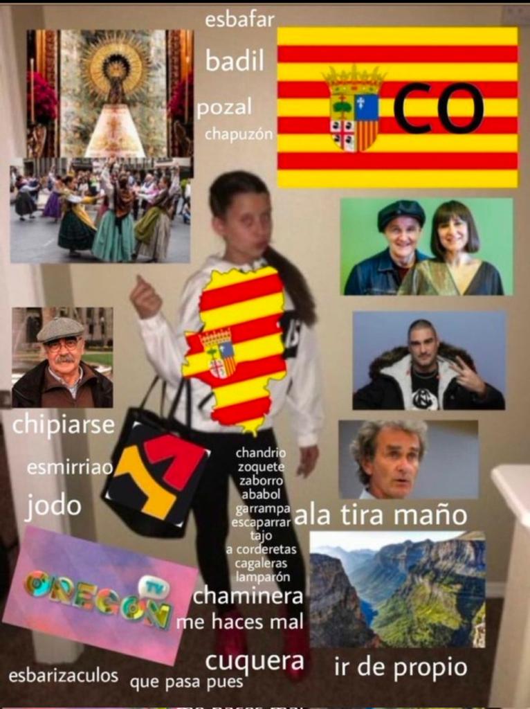 Meme-resumen de Aragón en el #DiaDeAragón