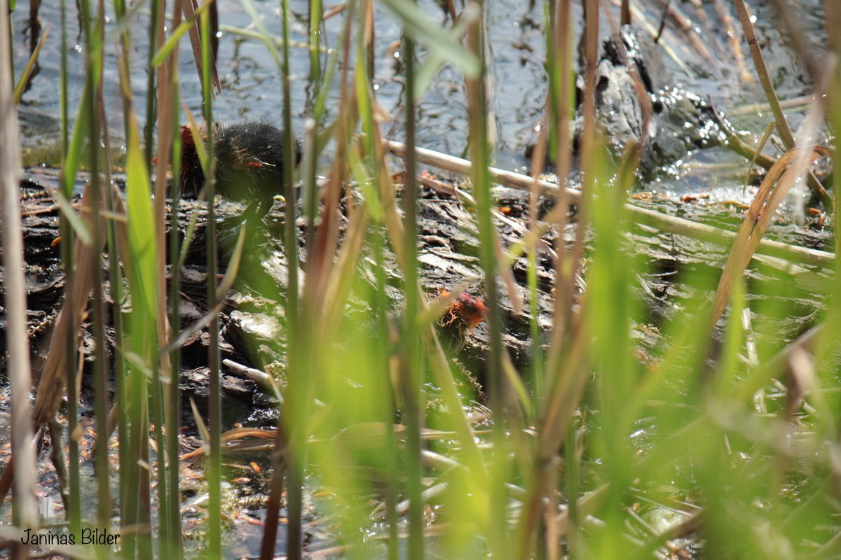 Soooo cute 🥰 

Made with <a href="/CanonDEU/">Canon Deutschland</a>