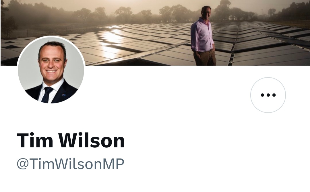 PeterWMurphy1's tweet photo. Dear @Twitter @TwitterAU  
Just FYI: @TimWilsonMP is NOT an MP. His delusion of still being relevant a year after losing his seat led him to grabbing a wreath meant to be laid by the actual MP's representative at an #AnzacDay ceremony this weekend. #auspol https://t.co/dX6tZ2EZjl