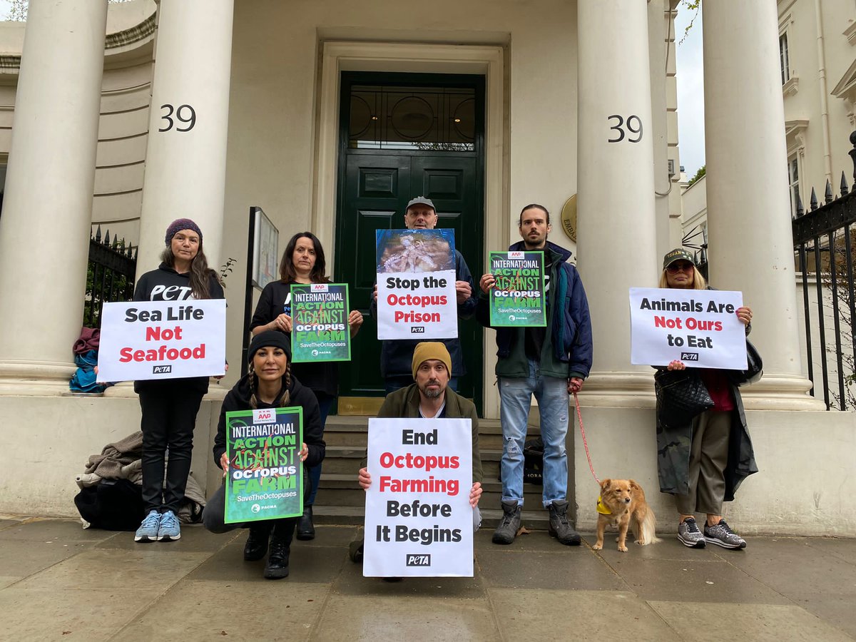 PETA UK tweet media