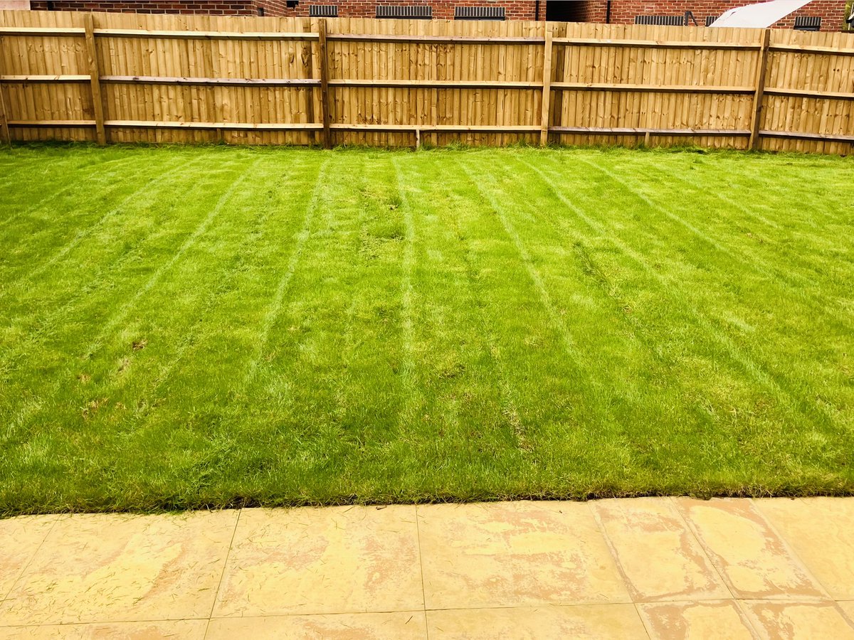 Paul Sylvester tweet media