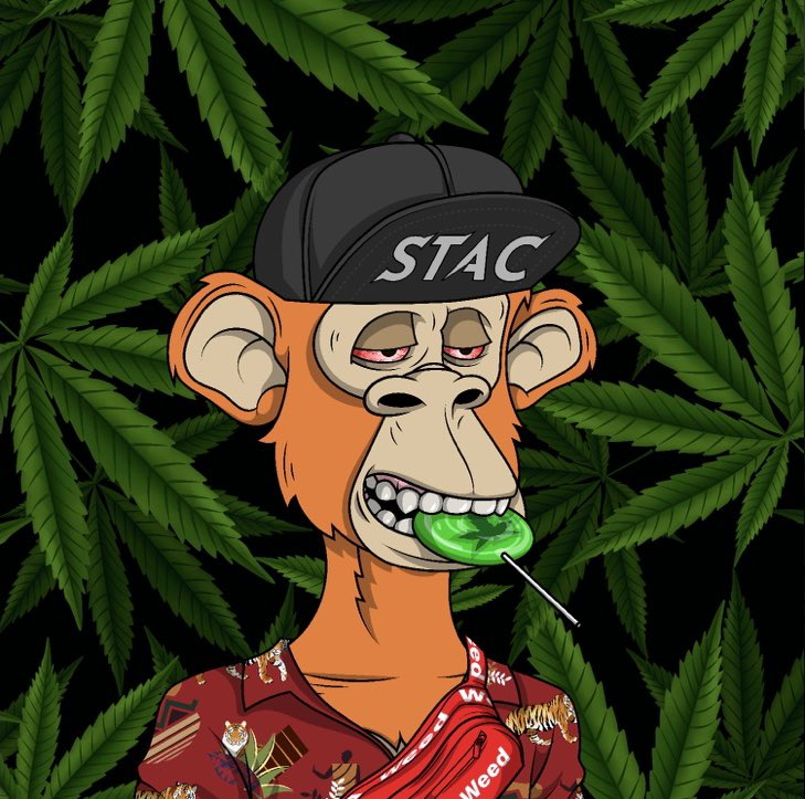 CousinCash.eth tweet media