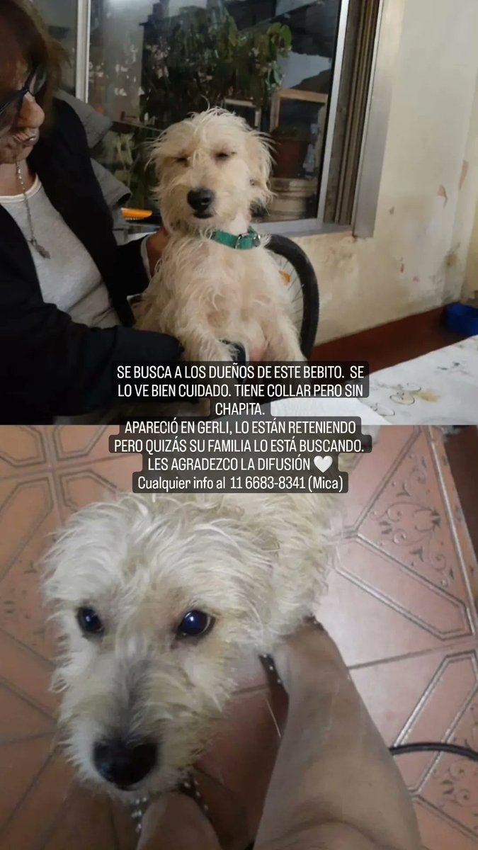 MuccioloAgus's tweet image. Por acá también. Me ayudan a difundir? Gracias 🤍