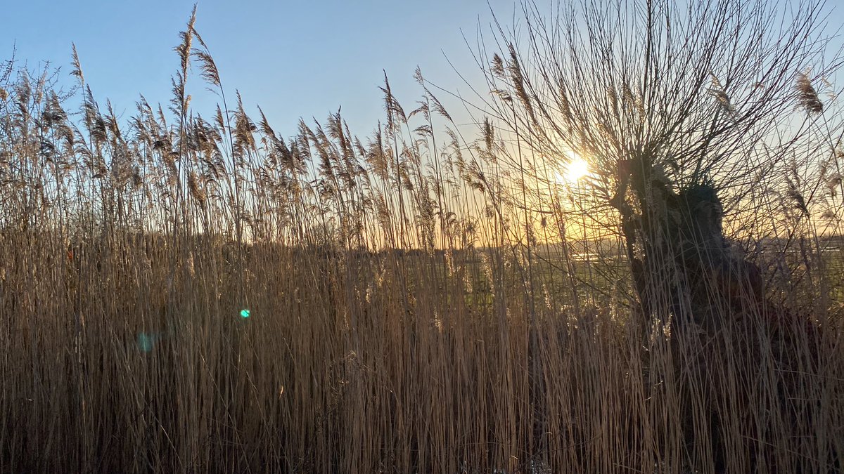 StornowayBand's tweet photo. Are you out this weekend soaking in the natural world? Comment to let us know how you’re freeing the #batteryhuman. Here’s another snap from our #biggreenhike raising funds for @WWTworldwide; for more visit our @justgiving page.
#ftbh #freethebatteryhuman #wearethebatteryhuman https://t.co/u1Z463RIgu