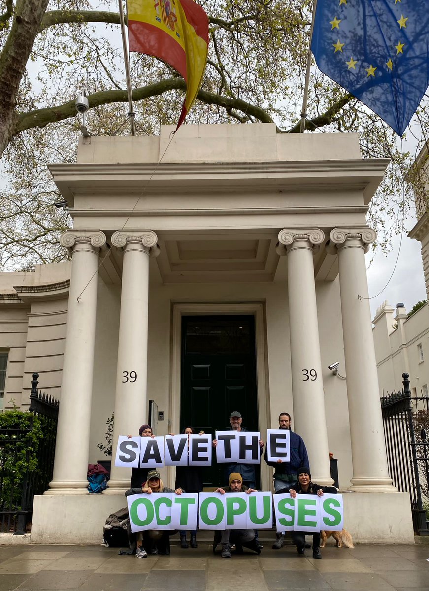 PETA UK tweet media