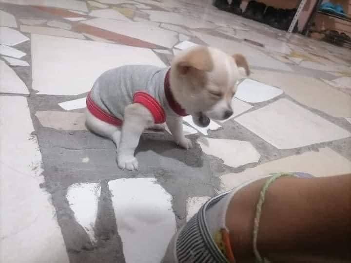 bris_sassy's tweet photo. Busco piso en Gracia, si pueden compartir se agradece, interesados hablen al DM https://t.co/4k4iSdE8XA