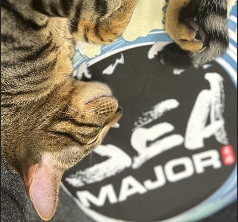 📢SEA Major no update on when SEA Major will return. But we are working on it! #SEAM