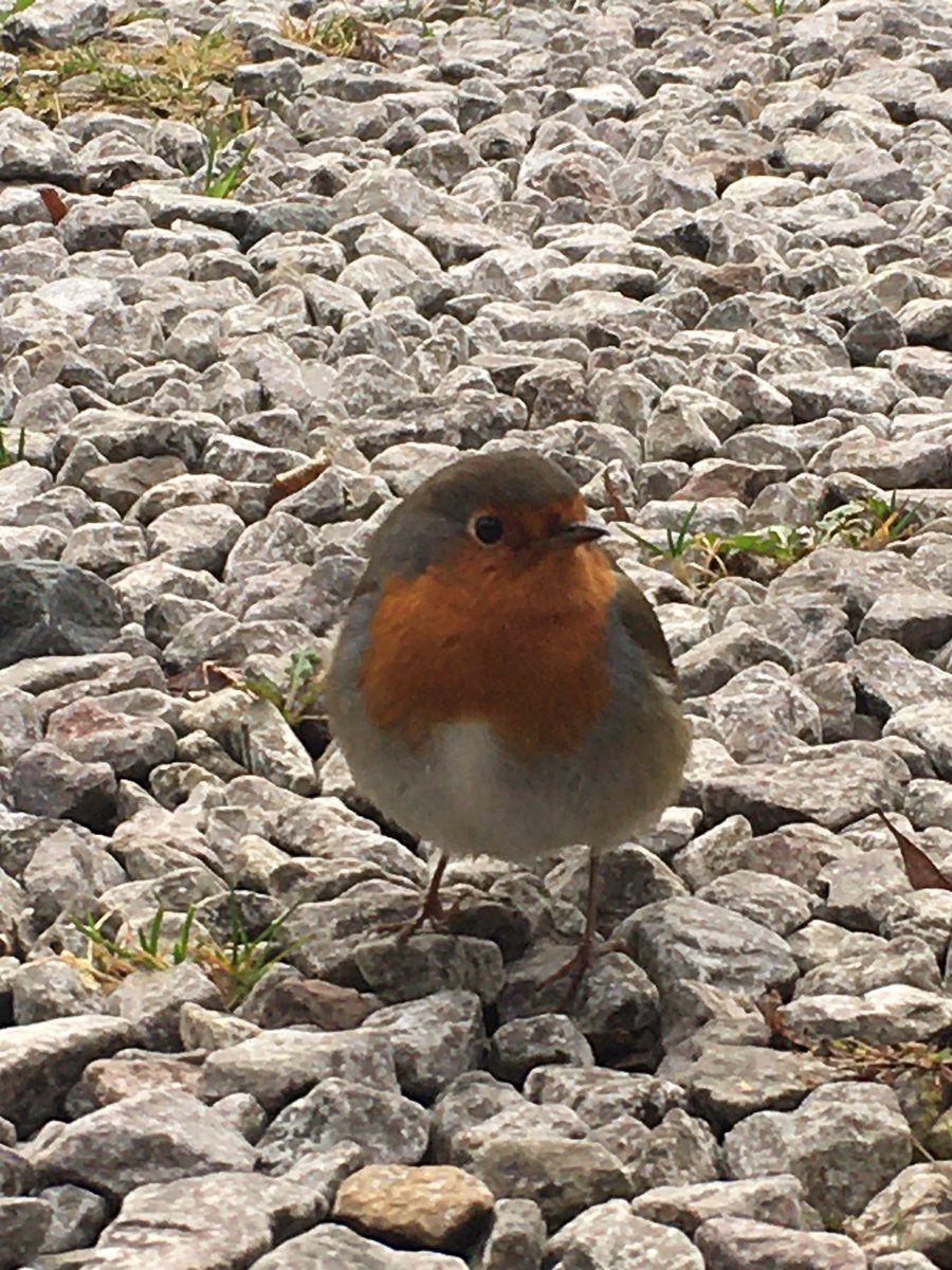 Michelle Clarke tweet media