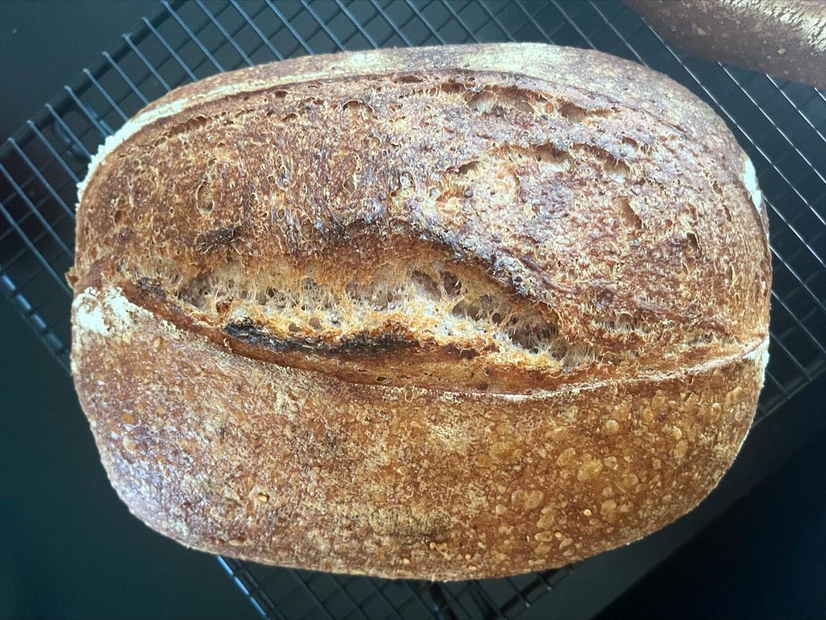 CoffeeSasquatch's tweet photo. Hopi Blue Polenta Sourdough #sourdough #polenta #bread https://t.co/e84evHHoft