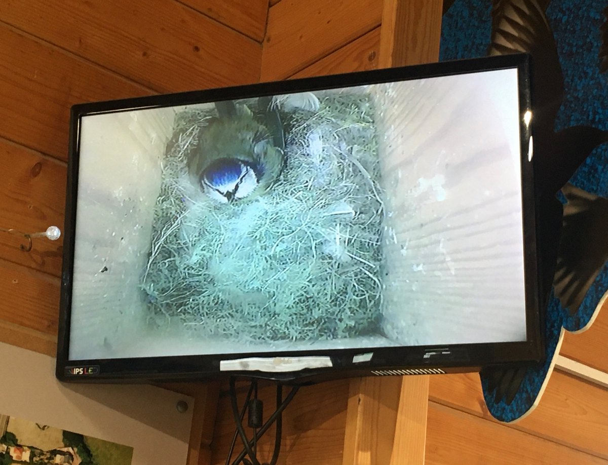 Michelle Clarke tweet media