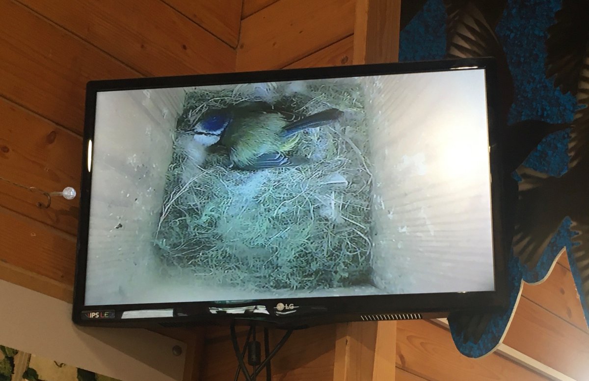 Michelle Clarke tweet media