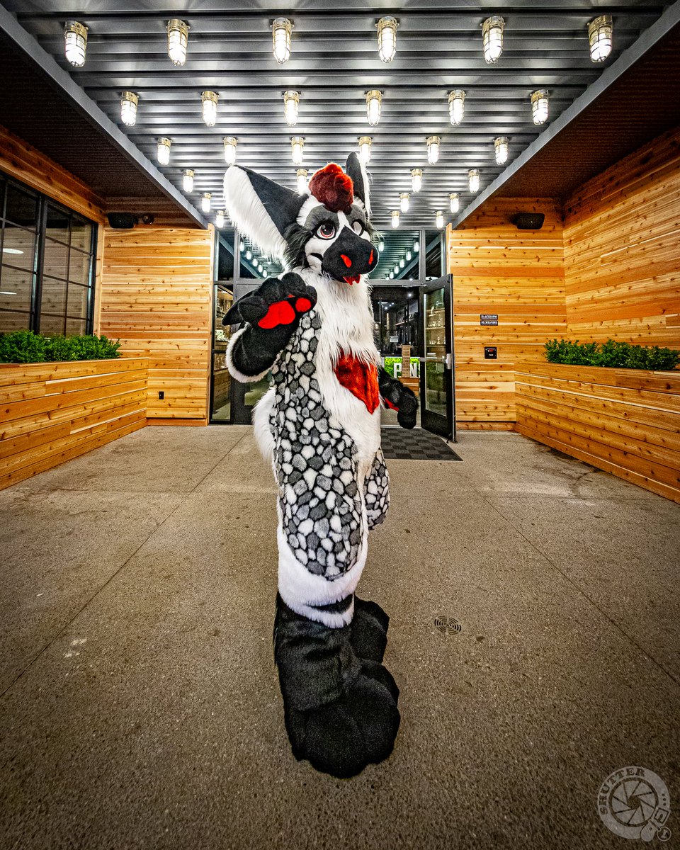 BearDogShutter's tweet photo. Thanks @pinsmechco Pittsburgh for letting us host our #BarkAid event last night. We had a great time. Looking forward to the next one in Cincinnati in July!

@MuttCoyotito @PGHFurs https://t.co/6QUWQSiHM7