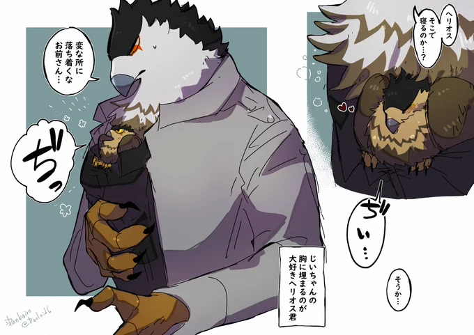 雛の時だけ出来た事 