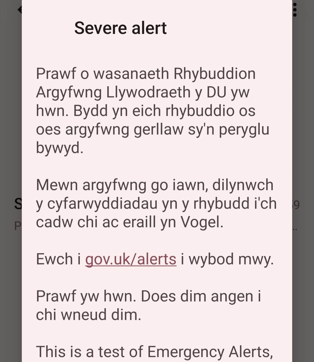 curonwyn's tweet photo. Vogel? @BBCCymruFyw @Golwg360 https://t.co/ar5tbtB4Tb