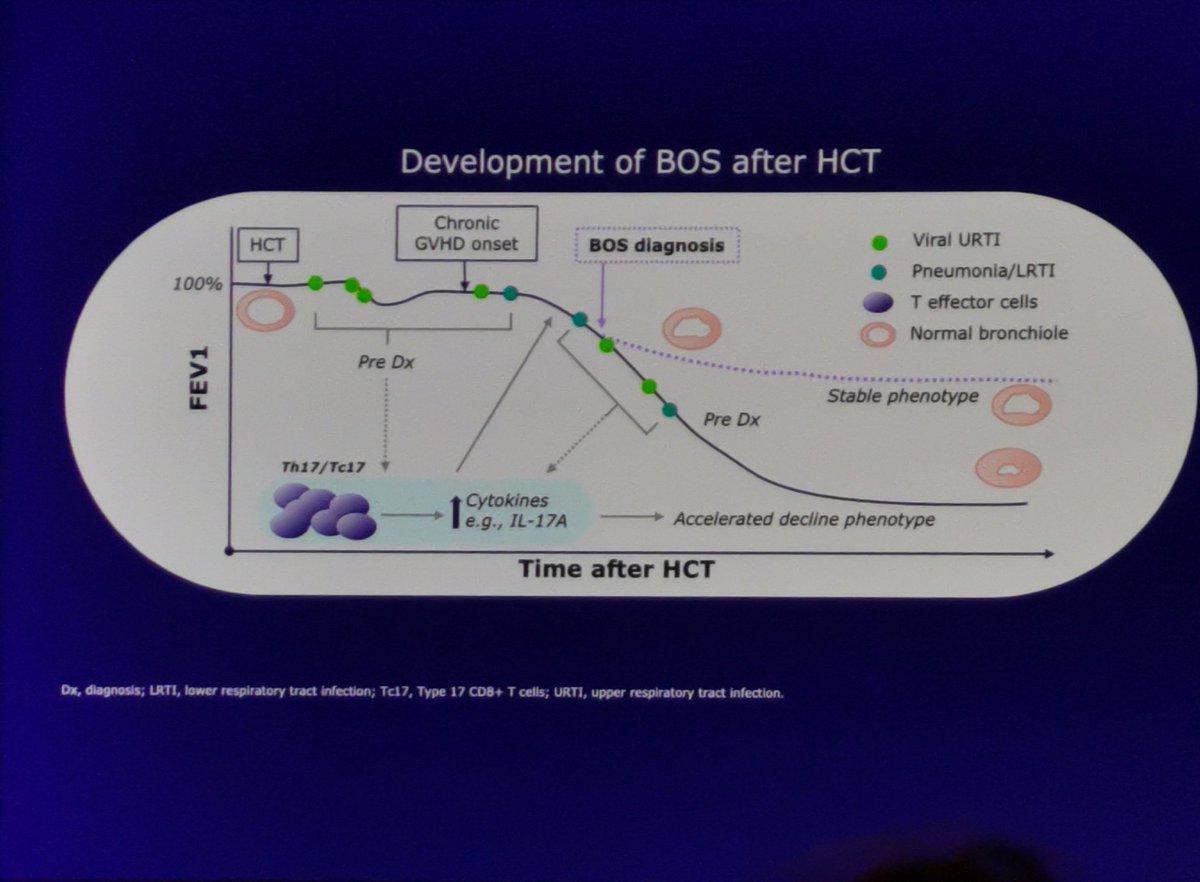 filcan87's tweet photo. @TheEBMT #EBMT2023 interesting session about lung #gvhd https://t.co/4qovip4ng0