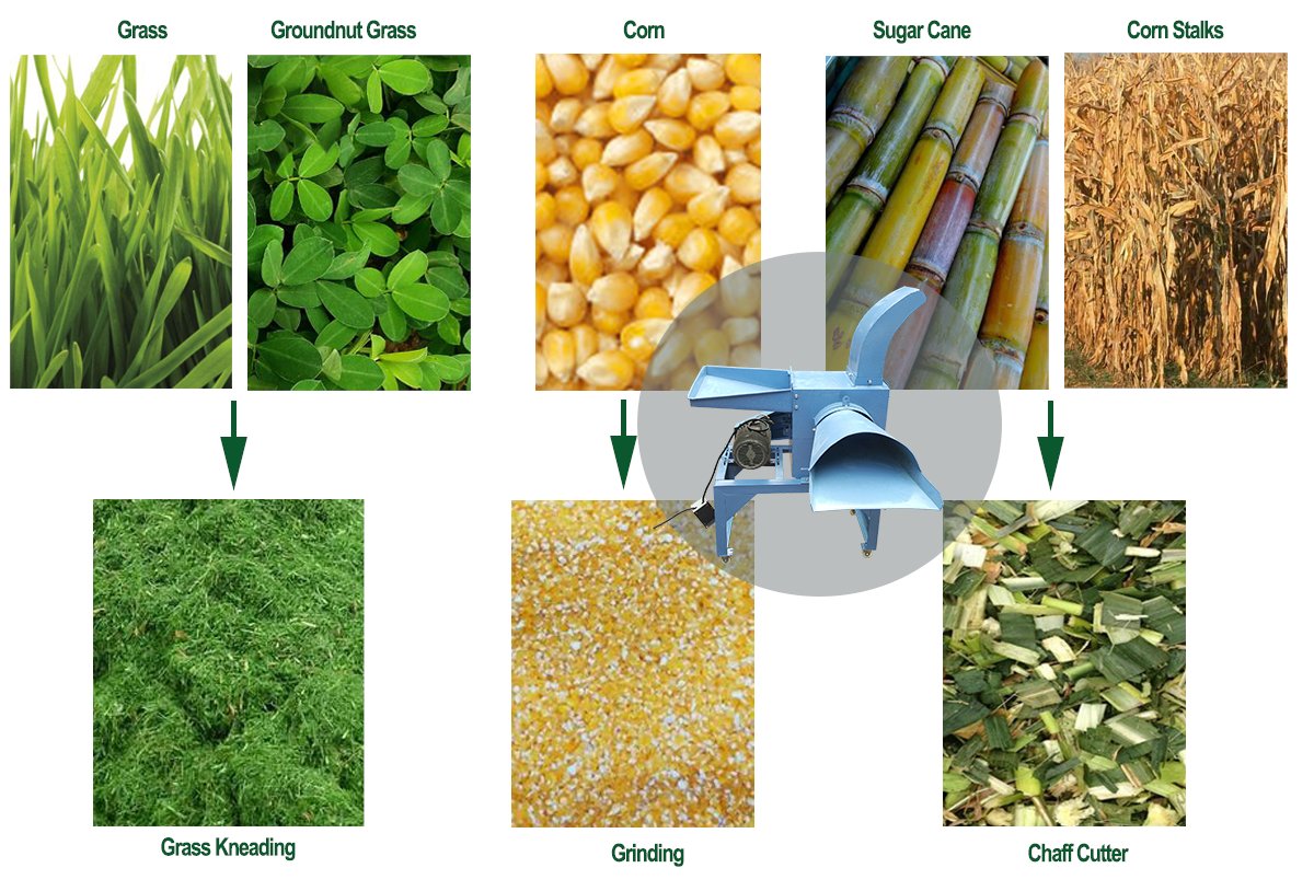 DemeterXH's tweet image. Multi-functions and multipurpose use of chaff kneading and shredding machine

#chaffkneading #shreddingmachine #chaffcuttermachine #farmuse
demeter-agri.com/chaff-kneading…