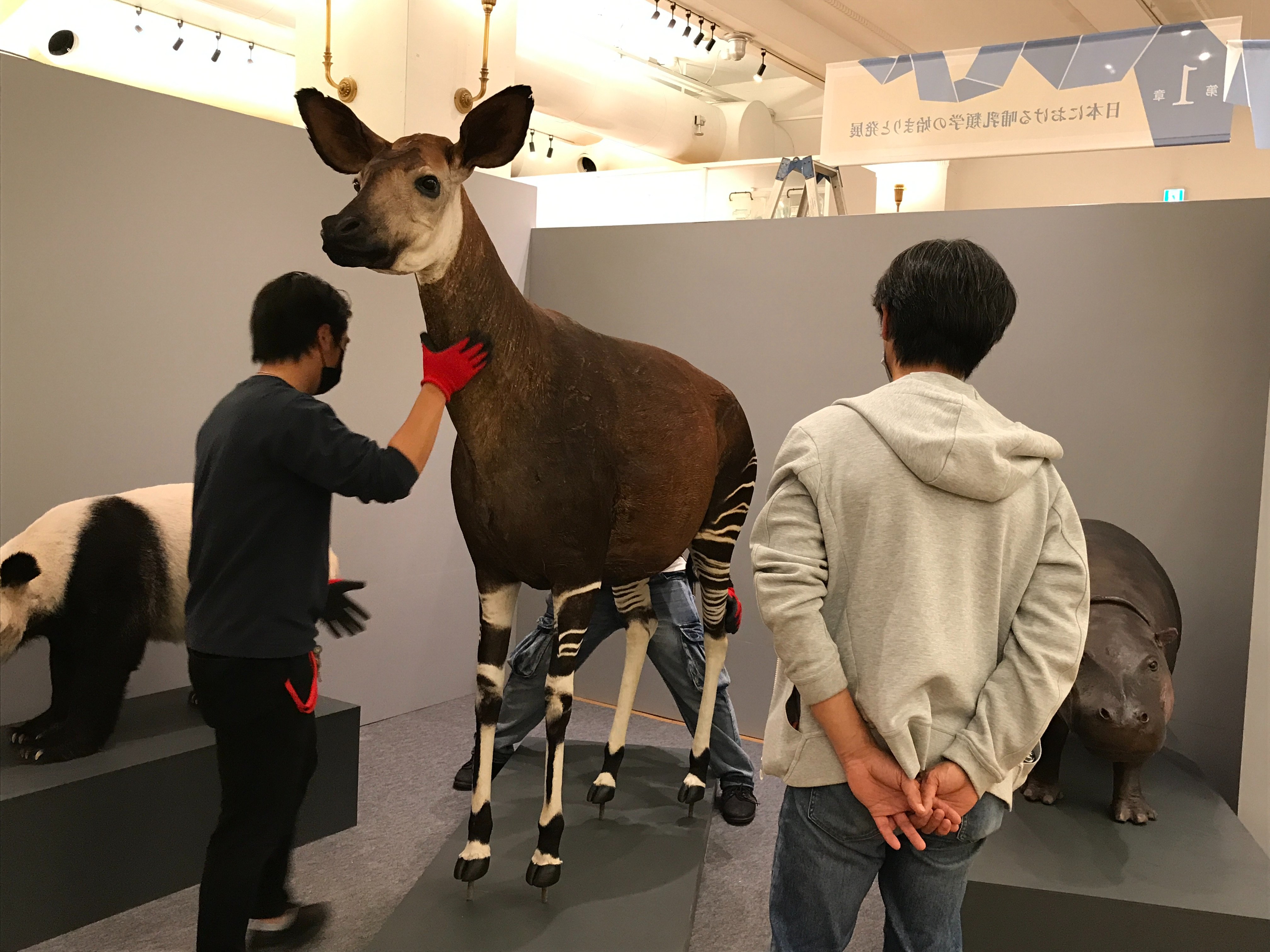 A12332541]砂漠誌: 人間・動物・植物が水を分かち合う知恵 (国立