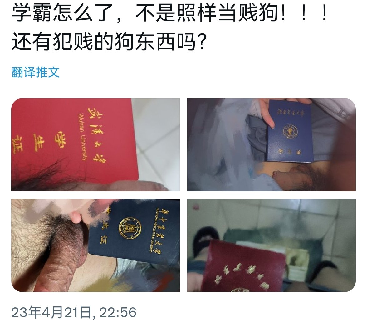 Cumslutmickey's tweet photo. 看到别人的推文，戴眼镜的高材生却是一条贱狗，这种大反差的狗更加贱了 #女王 #女s #射屏 #合照 #盯射 #cumtribute #cocktribute #wanktribute #jerktribute #horny https://t.co/wIEJC8pPkl