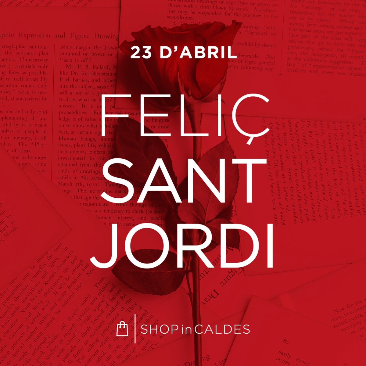 ShopinCaldes's tweet photo. Avui és un bon dia per passejar-se per l’Avinguda Pi i Margall, aturar-se a les paradetes de roses🌹 i escollir un bon #bestseller per llegir📖
Feliç Sant Jordi a tothom!🐉🌹
#shopincaldes #CompraaCaldes #caldesdemontbui #caldes #compradeproximitat #compres #comerç #comerçlocal https://t.co/QZeCN1PtjJ