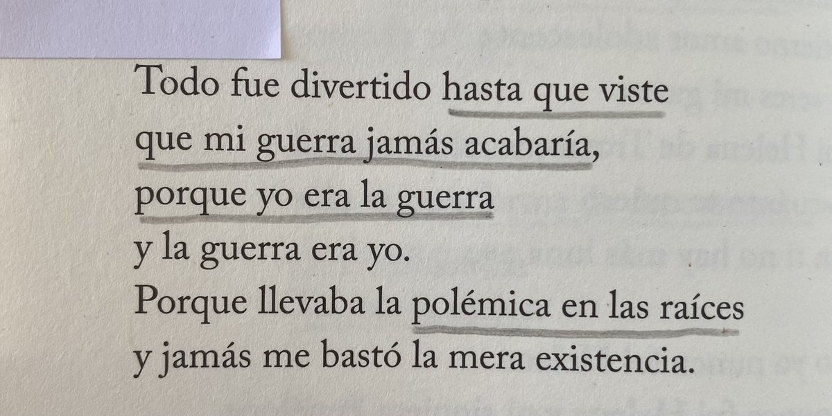 Feliz Sant Jordi de la mano de Gata Cattana❤️‍🔥🌹