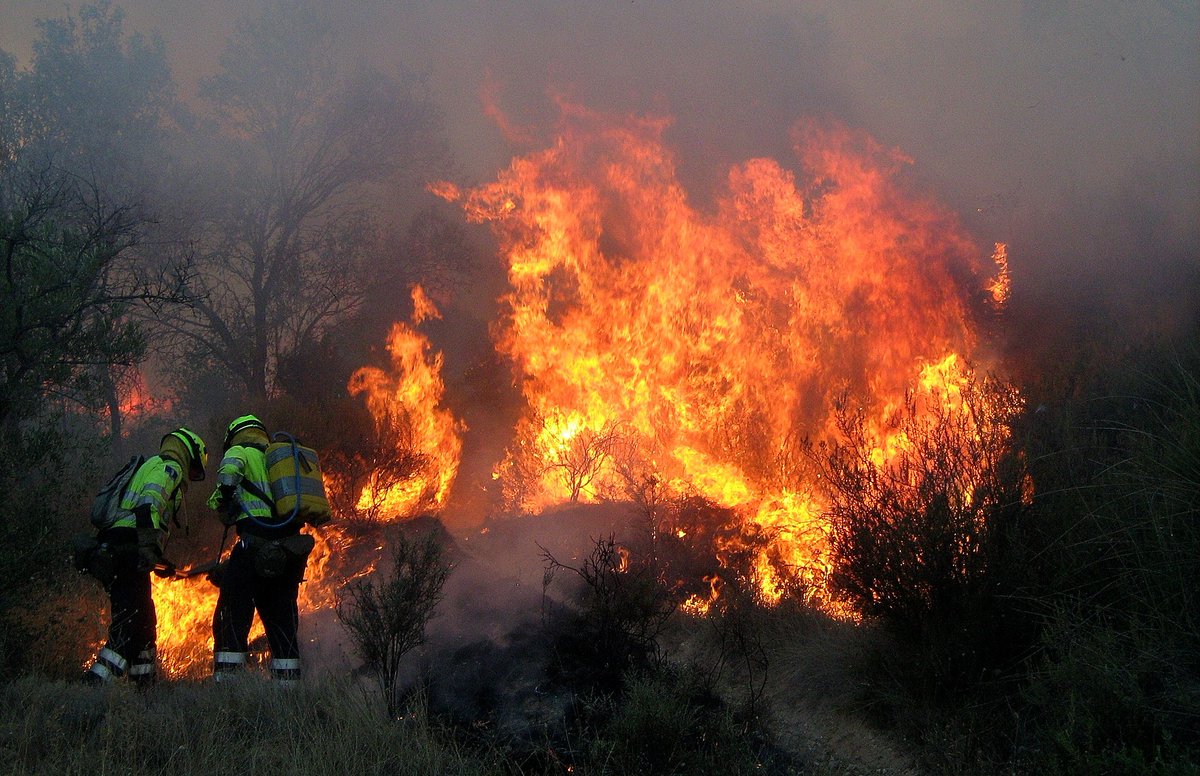 Hello #NFTCommunity 👋
🚨This is my new #NFT work on Forest Fires🚨
As a novelty it is in #Polygon #Matic so the rate is very low. 💲🍀🤞
Support and share my work in this Hell! 🤜🤛
🔥📍📌
#NFTs #Crypto #META #iA #fire #nftart #nftcollectors opensea.io/assets/matic/0… vía <a href="/opensea/">OpenSea</a>