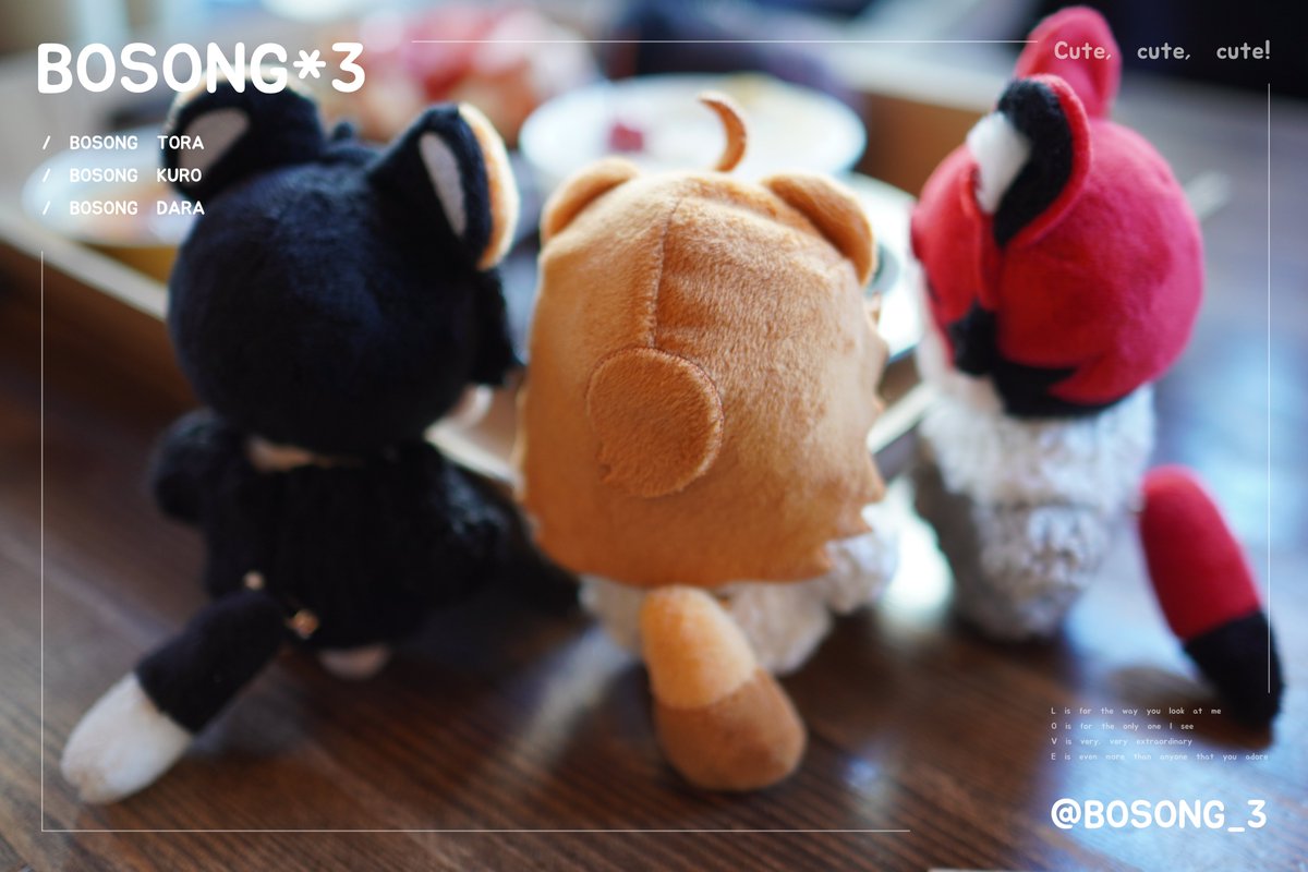 BOSONG_3's tweet photo. 🌼[RT+follow💗]

5월 13일 토요일 일반판매가 열리는 마다라, 쿠로, 테토라 속성  10cm 솜인형인 #BOSONG_3 입니다!

해당 트윗을 rt해주시는 팔로워분 중 한 분을 추첨하여 세 사람을 닮은 케이크+커피 기프티콘을 드립니다!☺️☺️

#BOSONG_3 #보송다라 #보송쿠로 #보송토라 https://t.co/B64CflEKGy