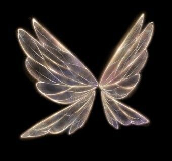 ignite_flowers's tweet photo. @leon_vir1 🦋 https://t.co/ENM2U2s7p1