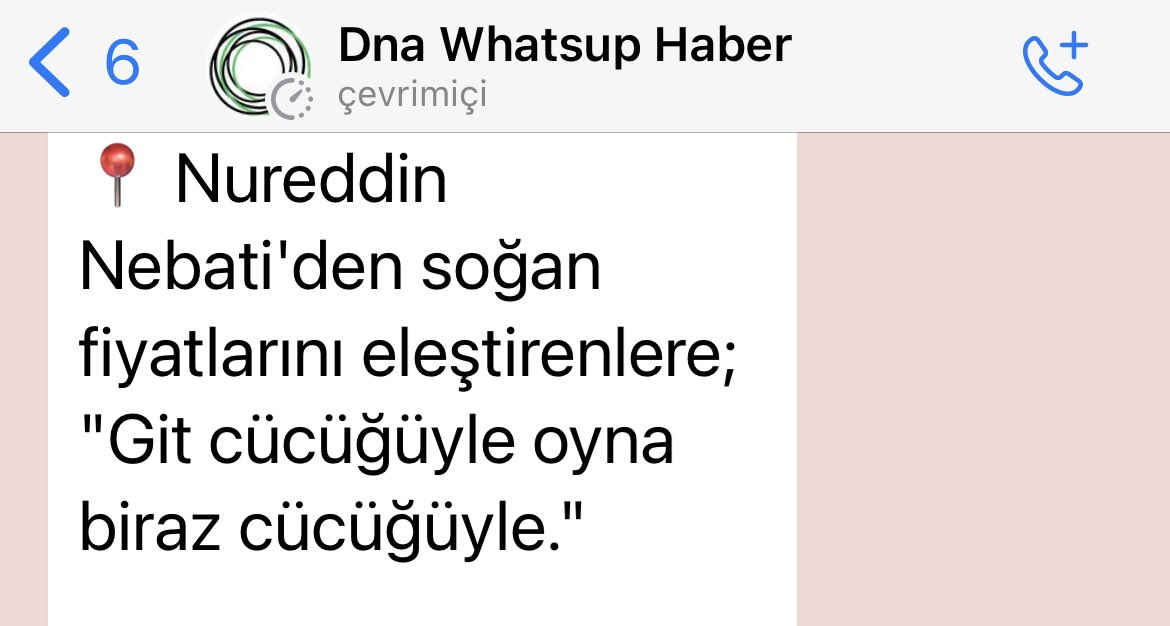 Cücük ‼️ Söylenmeyen ne kaldı? Güzel sözler dışında😳 . Kaynak: @DNAwhatsuphaber