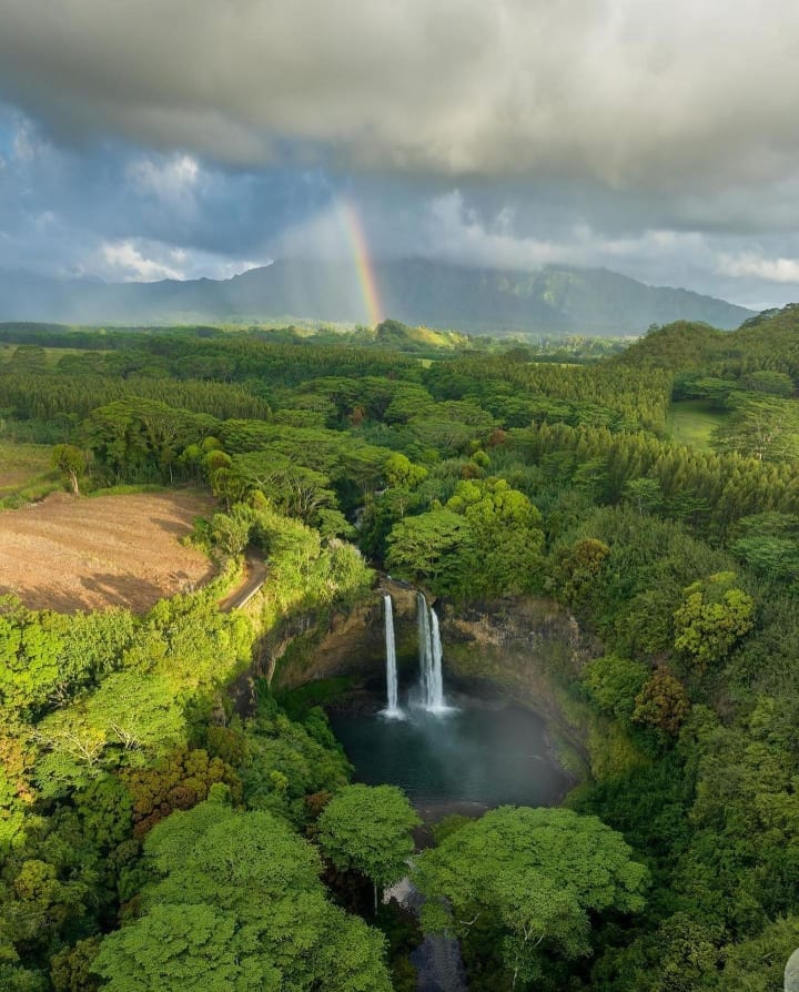 travellazoCOM's tweet photo. Hawaii 🌴🌴 https://t.co/LGOGwpcHHl
