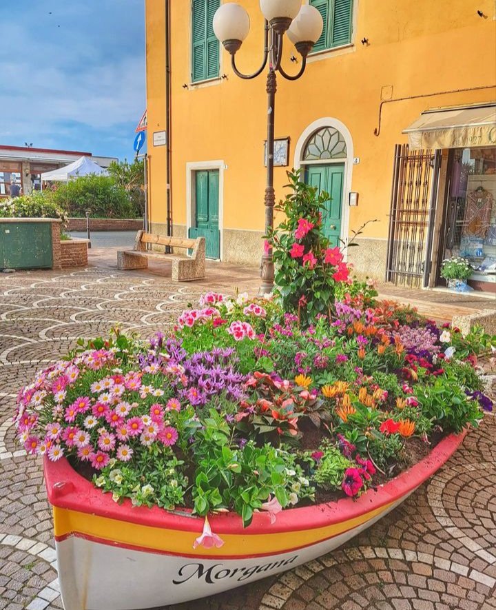 MatteoKalka's tweet photo. Fatevelo un giretto a #Cogoleto. È una bellezza che compie 1000 anni! Noi ce la stiamo mettendo tutta per renderla sempre più bella, vivibile ed accogliente ❤️. #CogoLove #millenario #MilleAnni https://t.co/Bv7Dn80UBG
