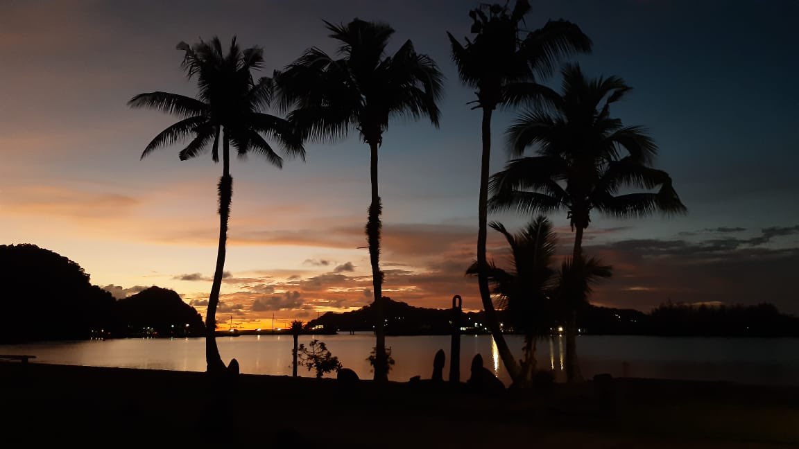 Riccardo Rodolfo-Metalpa (@rmetalpa) on Twitter photo A dream becomes a reality. <a href="/icona_research/">ICONA</a> at Nikko Bay in Palau. <a href="/PICRCPalau/">Palau International Coral Reef Center (PICRC)</a> <a href="/AgoRemix/">Agostini Sylvain</a> <a href="/HoulbrequeFanny/">Fanny Houlbreque 🪸</a> <a href="/ravasi_lab/">Ravasi's Lab</a> <a href="/MeclabU/">Marco Milazzo (MecLab)</a> <a href="/bp_harvey/">Ben Harvey</a> <a href="/JDReimer/">James Davis Reimer</a> <a href="/BaydenRussell/">Bayden D. Russell</a> @cattancarlo and many others. First week gone. Sites selected. Awesome reefs! #luckytobehere! A dream becomes a reality. <a href="/icona_research/">ICONA</a> at Nikko Bay in Palau. <a href="/PICRCPalau/">Palau International Coral Reef Center (PICRC)</a> <a href="/AgoRemix/">Agostini Sylvain</a> <a href="/HoulbrequeFanny/">Fanny Houlbreque 🪸</a> <a href="/ravasi_lab/">Ravasi's Lab</a> <a href="/MeclabU/">Marco Milazzo (MecLab)</a> <a href="/bp_harvey/">Ben Harvey</a> <a href="/JDReimer/">James Davis Reimer</a> <a href="/BaydenRussell/">Bayden D. Russell</a> @cattancarlo and many others. First week gone. Sites selected. Awesome reefs! #luckytobehere!