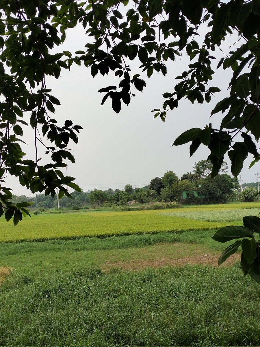 Alex (@alextra245) on Twitter photo 