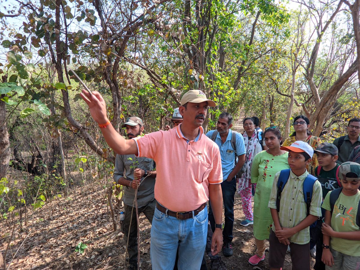 YNCO__'s tweet photo. Today YNCO conducted exceptional activity of  Nature Trail with Parents and Kids. 
This activity is organised under Living With Leopard program.

Amravati Forest dept. helped in successful completion of activity 
@DrSwapnilSonon3 @pank_bandabuche @jayotibanerjee https://t.co/A2x5XtZXN5