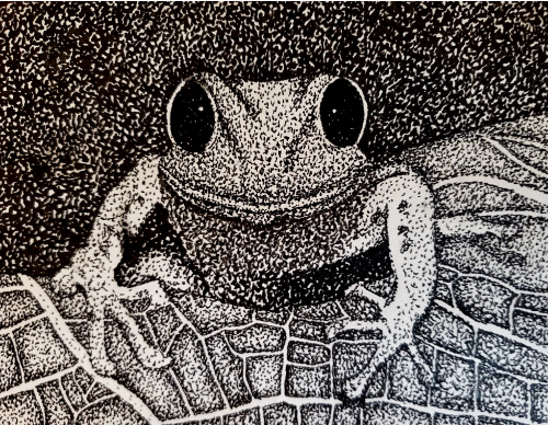 Frog's Time 1/1.  Have a great Sunday!