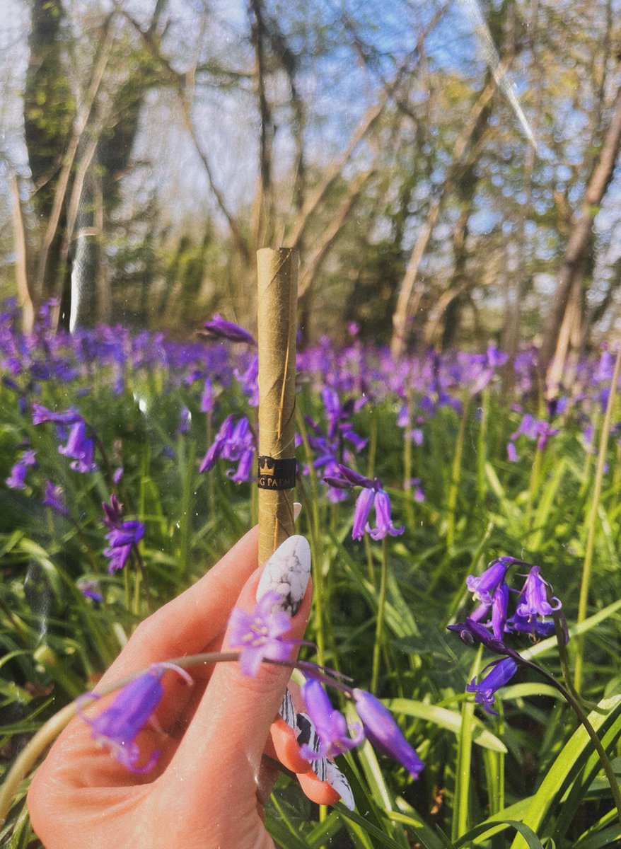 I know a spot 🍃🪻😮‍💨